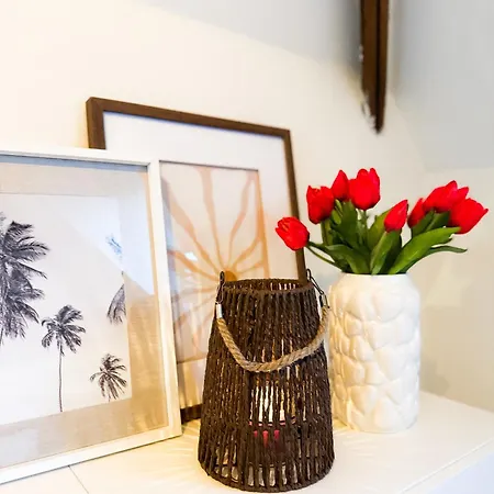 Cosy Authentiek Penthouse Lejlighed Antwerpen