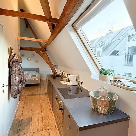Cosy Authentiek Penthouse * Antwerpen