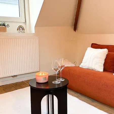 Lejlighed Cosy Authentiek Penthouse Antwerpen